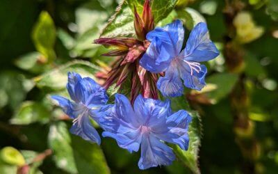 Finding Balance with Similars